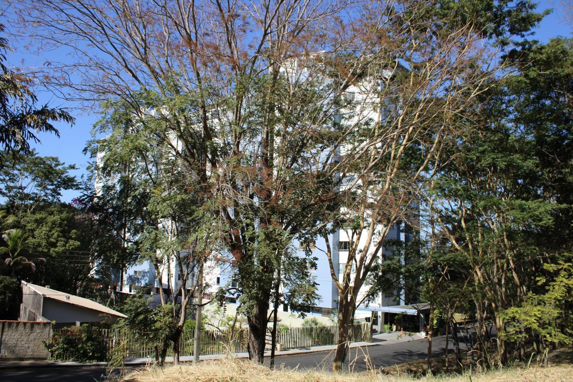 Flat 609-B Rio Quente Hotel Exterior foto